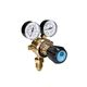 Single Stage Oxygen Regulator 2 Gauge 300 Bar Base Entry