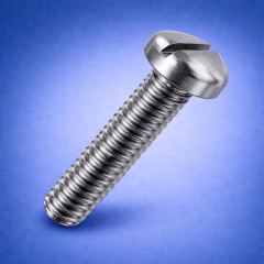 Slotted Pan Screws