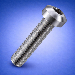Torx Pan Screws