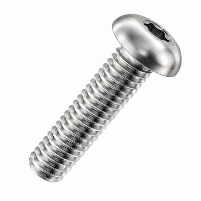 M10x14 Torx Dome Screw Din7380 A4 Pack 100