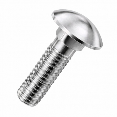 M16x100 Carriage Bolt DIN 603 A2 Pack 25