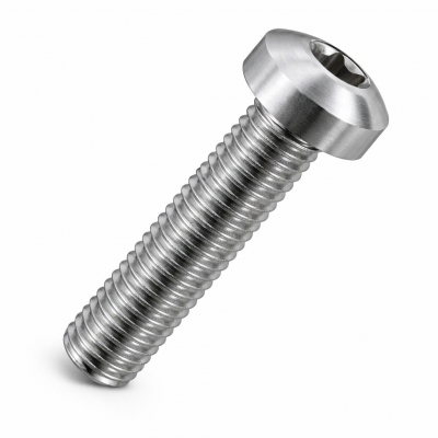 M2.5x10 Torx Pan Screw ISO14583 A2 Pack 1000