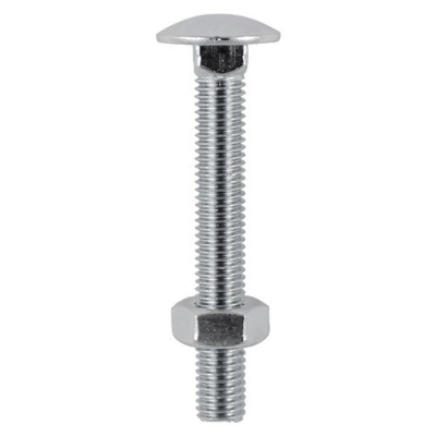 M10x100 Carriage Bolt & Nut Din603 A2 Pack 2