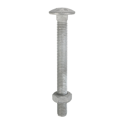 M10x180 Carriage Bolt & Nut DIN 603 Hot Dipped Galvanised Gr.4.8 Pack 25