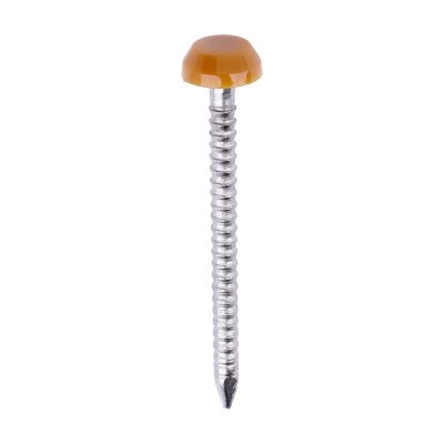 30x2.1 Polymer Headed Pin A4 Oak (Head Diameter 6.2) Pack 250